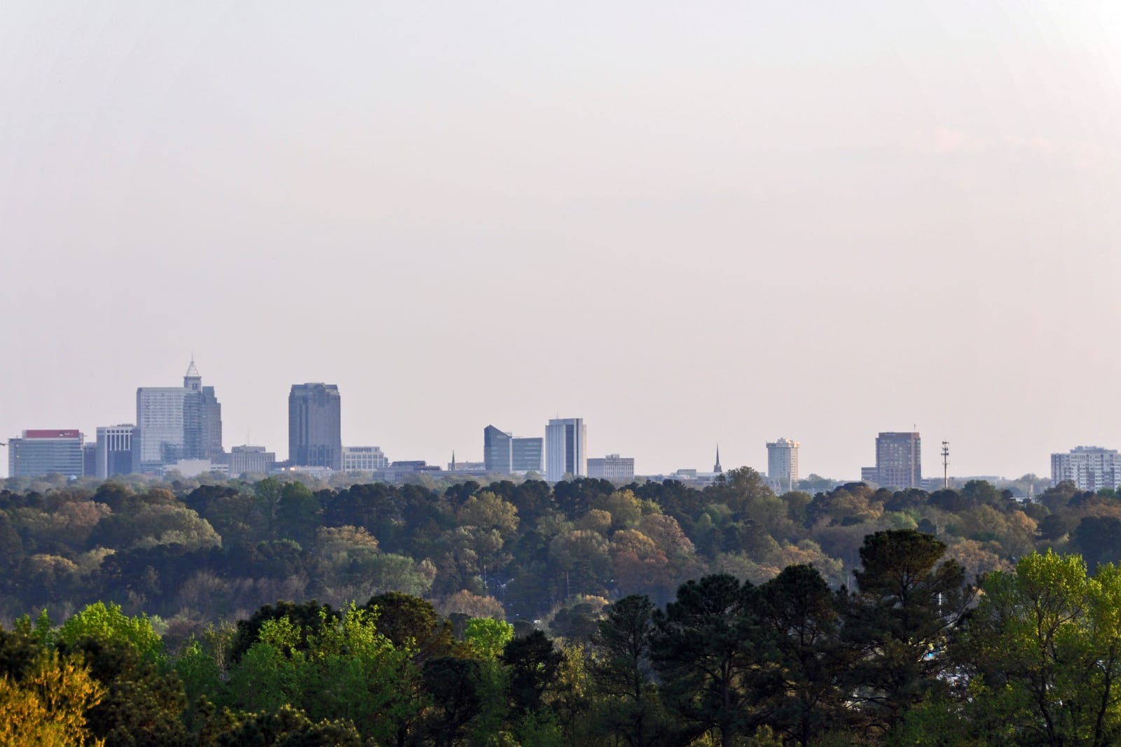 Homes in Raleigh, North Carolina at dusk